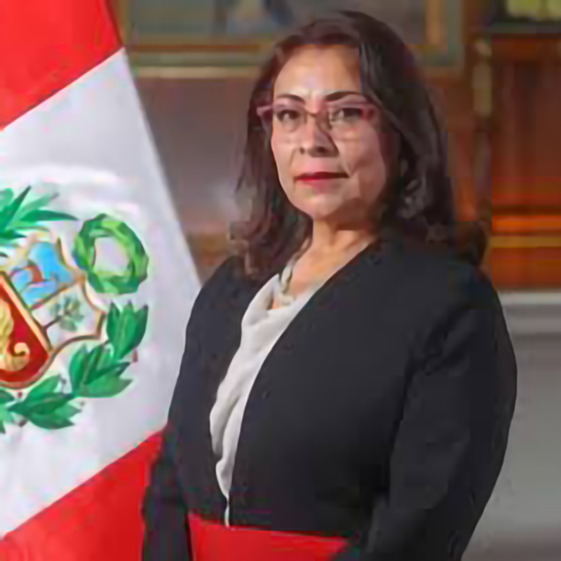 Violeta Morales Bermudez