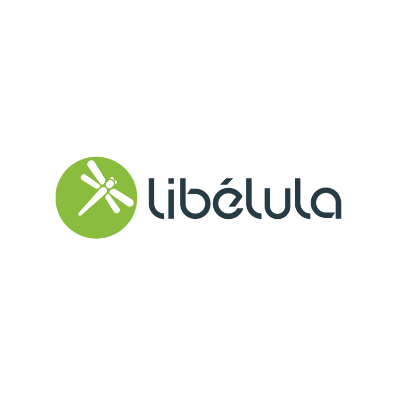 Libélula